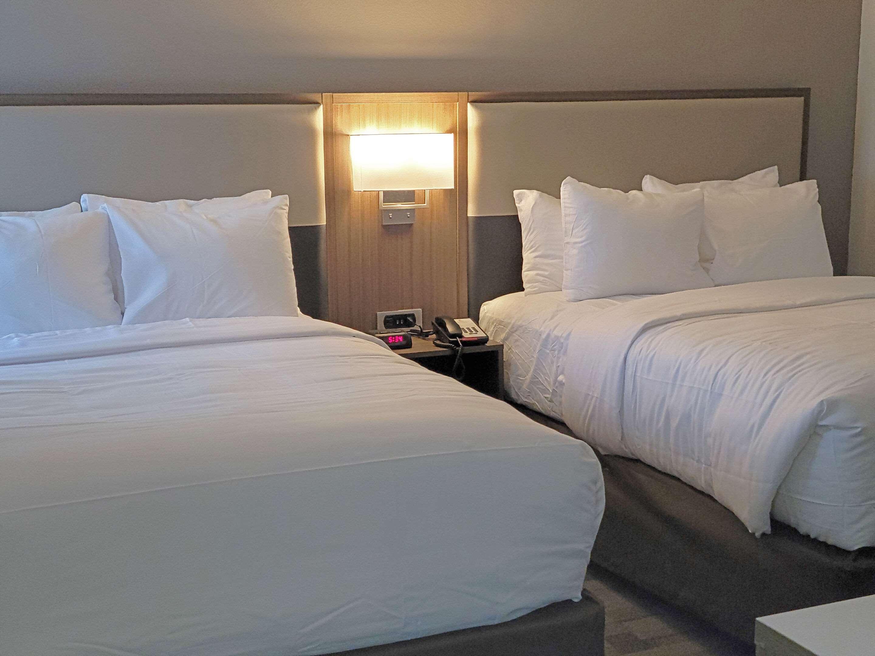 Comfort Inn & Suites Wyomissing-Reading Екстериор снимка